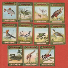 11 BONS POINTS - CHROMOS -