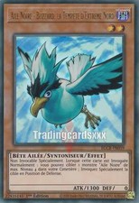 Yu-Gi-Oh! Aile Noire - Blizzard, la Tempête d'Extrême Nord : UR BLCR-FR059
