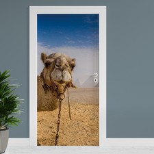 Film pour Porte " Chameau "