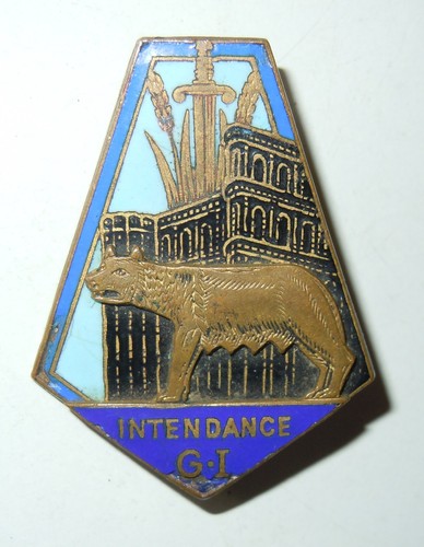 Insigne groupe instruction - groupe,