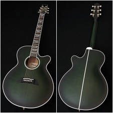 Takamine / FPT181AC SGS 100