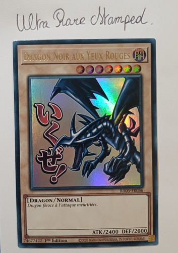 Dragon noir aux - dragon, yeux