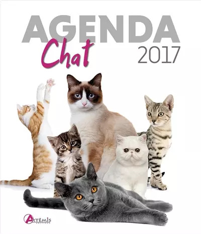 Agenda chat 2017 - chat, isabelle