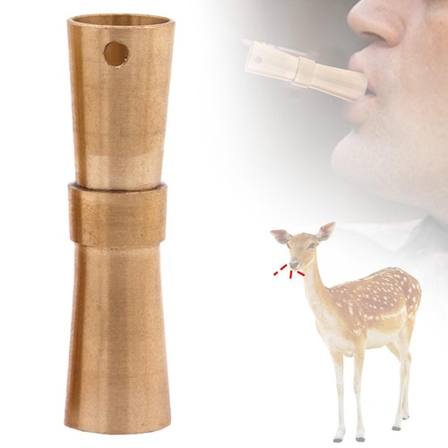 Sifflet muntjac cordon - sifflet, muntjac,