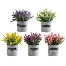 Pot de fleurs lavande