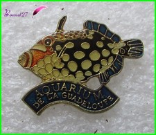 Pin's Aquarium de la