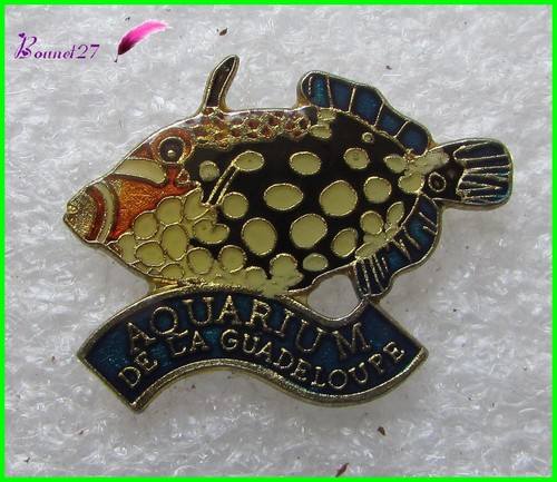 Pin aquarium la - aquarium, de