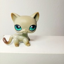 Authentique Petshop Chat