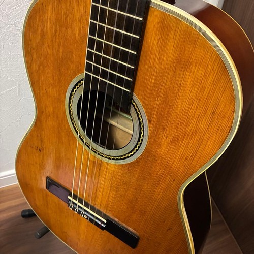 Guitare koga - n°50,