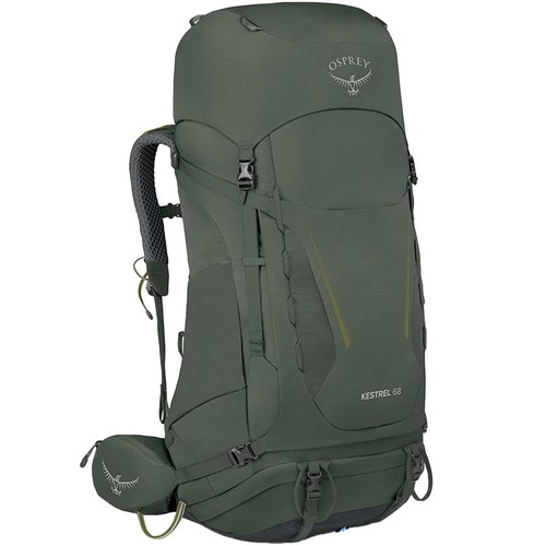Osprey kestrel - osprey, 68