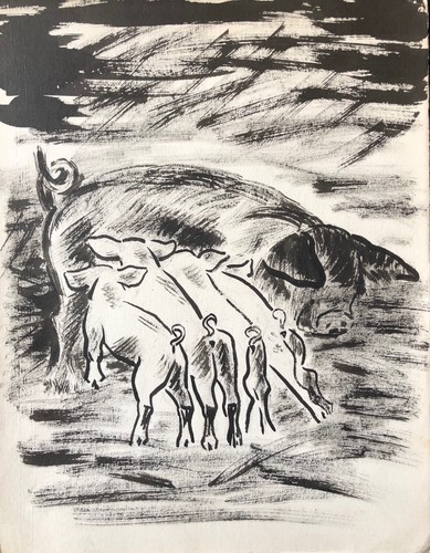 Cochon truie encre - , attribuée