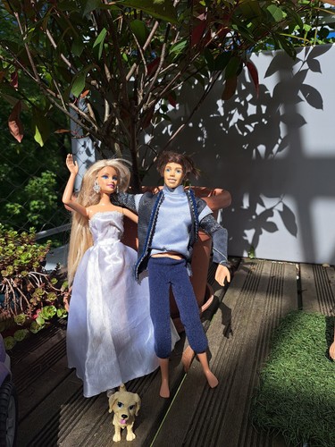 Poupées barbie ken mariés - poupées,