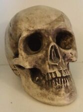 TÊTE DE MORT VANITÉ EN