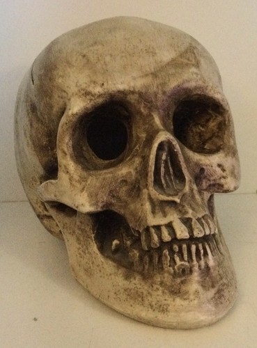 Tête mort vanité en - de,