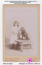 Fillette son chien - chien, caniche