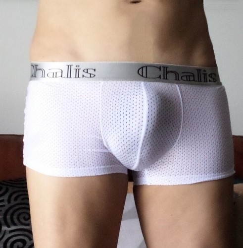 Boxer chalis subtilement - boxer,