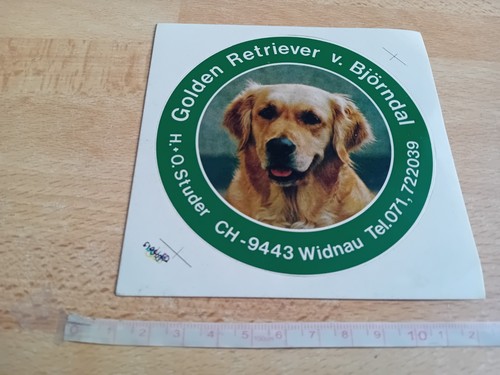 Autocollant chien golden - chien,