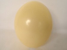 Oeuf d'autruche décoratif