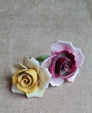 Anciennes fleurs roses en - anciennes,
