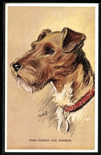 Carte postale wire - postale,