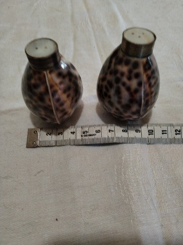 Salerons coquillages cauris - salerons,