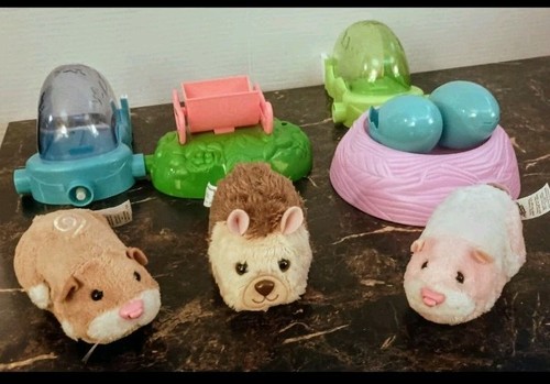 Zhu pet hamster - pet,