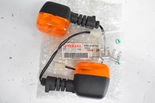 Paire de clignotant origine