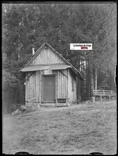 Forêt, cabane, bois, Plaque verre photo, négatif ancien noir & blanc 9x12 cm