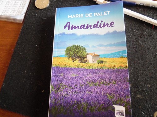 Livre amandine marie de - livre,