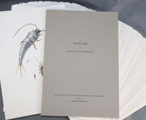 Insectes arachnides et - &,