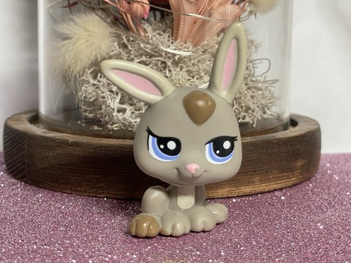 Petshop lapin lapereau - 🌸,