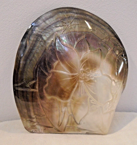 Ancien coquillage sculpte - coquillage,