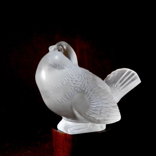 René lalique oiseau signé - oiseau,