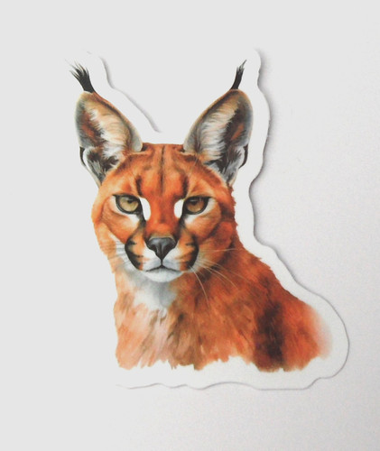 Vianille sticker thème - -,