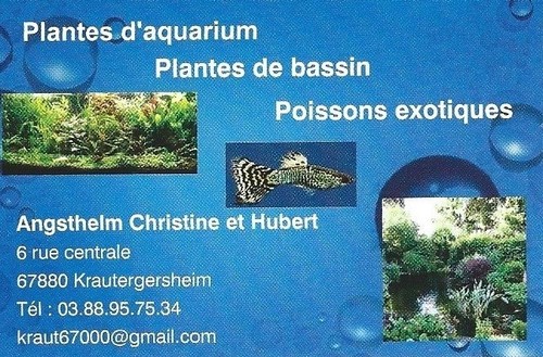 Poster fond aquarium - poster,