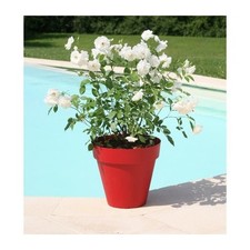 RIVIERA Pot de fleurs Soleilla