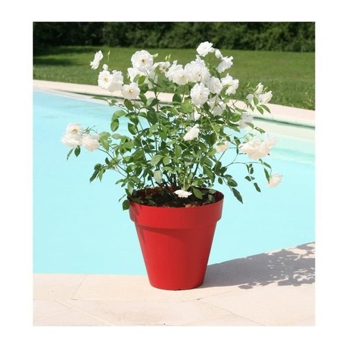 Riviera pot fleurs soleilla - riviera,
