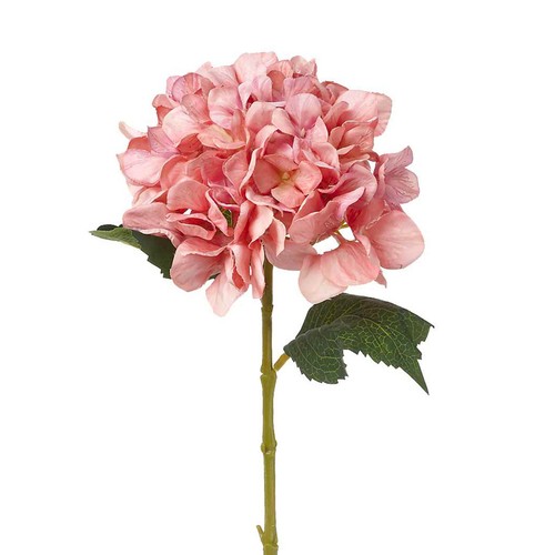Plante artificielle hortensia - plante,