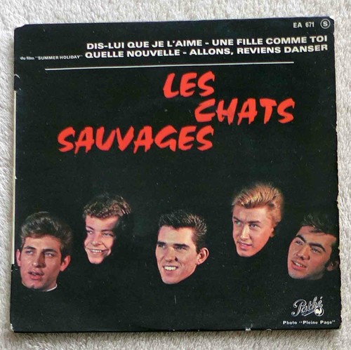 Les chats sauvages french - sauvages,