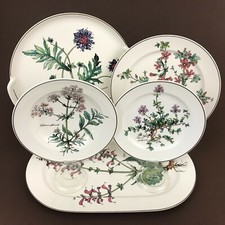Villeroy Boch Botanica Soup