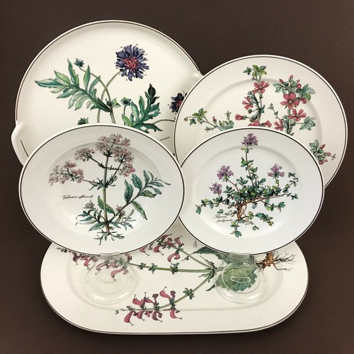 Villeroy boch botanica soup - villeroy,