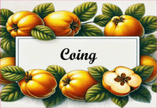 Coing 12 Etiquettes vinyle