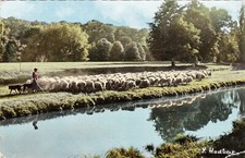 Cartes postale ancienne