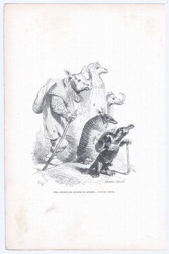 Animaux savants granville 1842 - granville,