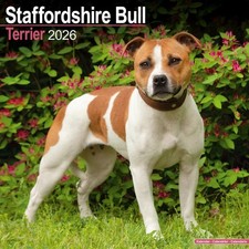CALENDRIER  STAFFORDSHIRE BULLE TERRIER - STAFFIE-  2026