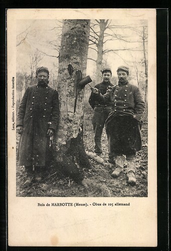 Carte postale bois - bois, de