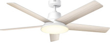 Ventilateur plafond - ventilateur, de