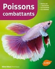 Poissons combattants de