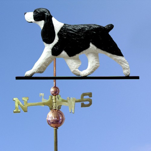 Anglais springer spaniel main - springer,