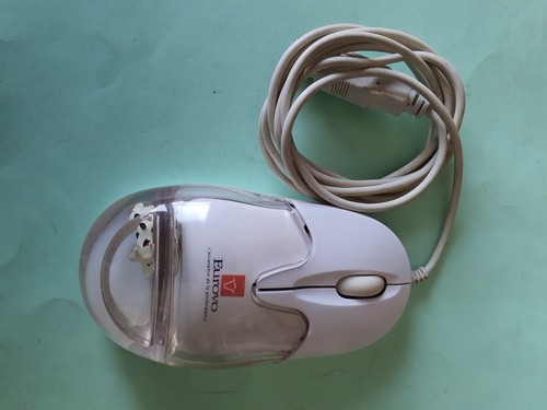 Souris blanche avec - , et